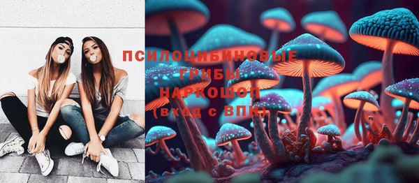 гидропоника Магас