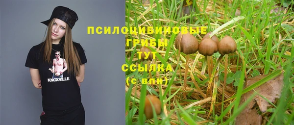 герыч Майский